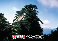 點擊看全圖